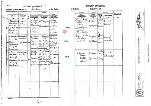 Preview medium birth certificate william j sandiford 3 dec 1919