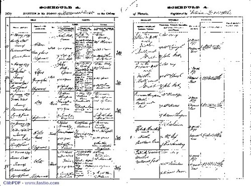 Preview medium birth certificate kate devine 1879