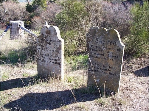 Medium headstones of elanour   thomas guy circa 2008