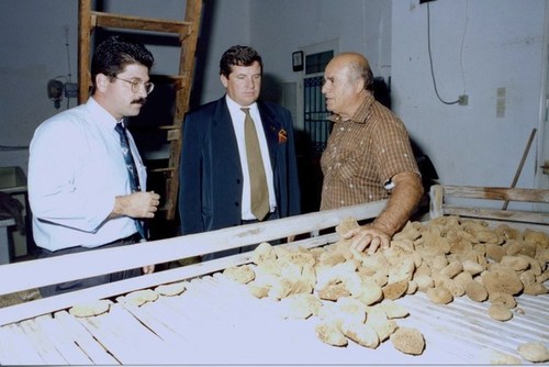 Medium visit to kalymnos sponge factory 27 september 1995