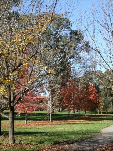 Medium bike path les stone park wodonga