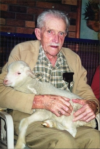 Medium bill curtain sheep farmer to the very end